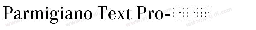 Parmigiano Text Pro字体转换